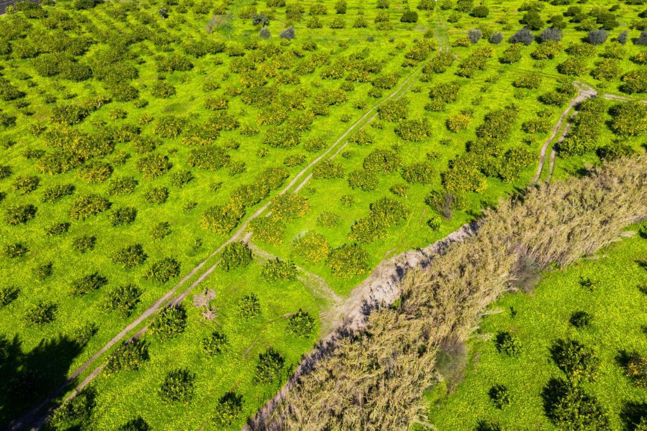 Bioagriturismo Antica Sena Milici 外观 照片