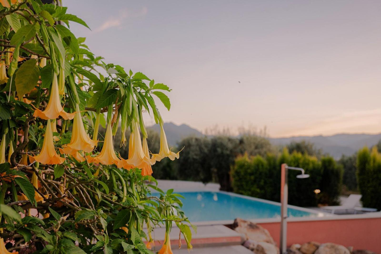 Bioagriturismo Antica Sena Milici 外观 照片