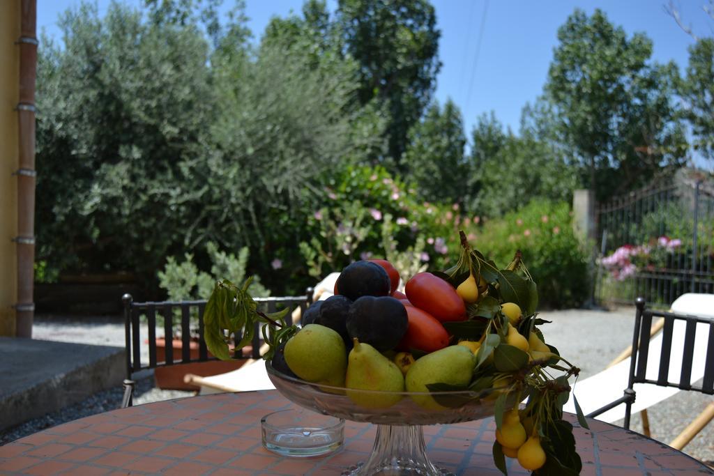 Bioagriturismo Antica Sena Milici 外观 照片
